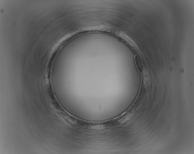 X0000073460628200608251732