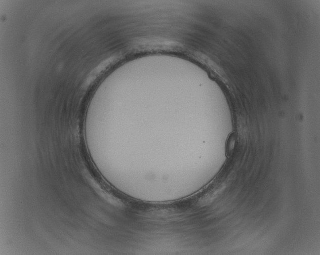 X0000073460629200608251732