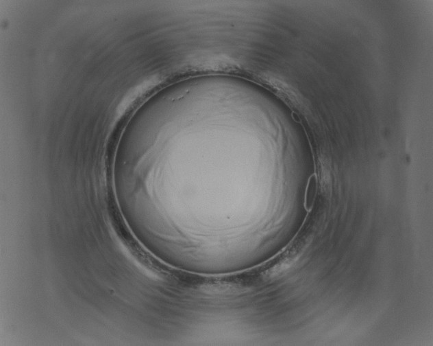 X0000073460630200608251732