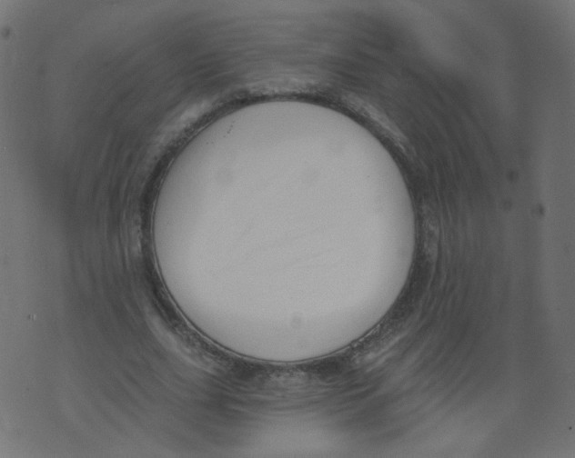 X0000073460631200608251732