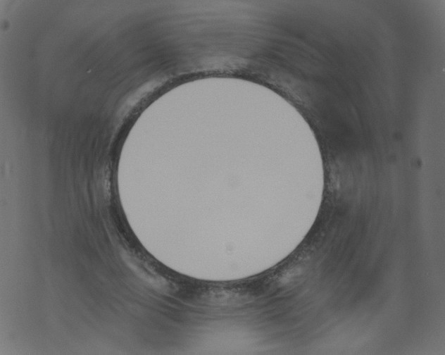 X0000073460632200608251732