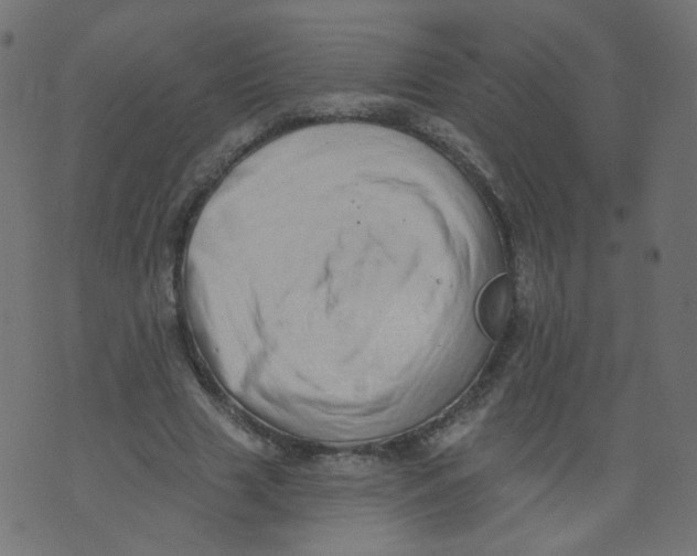 X0000073460633200608251732