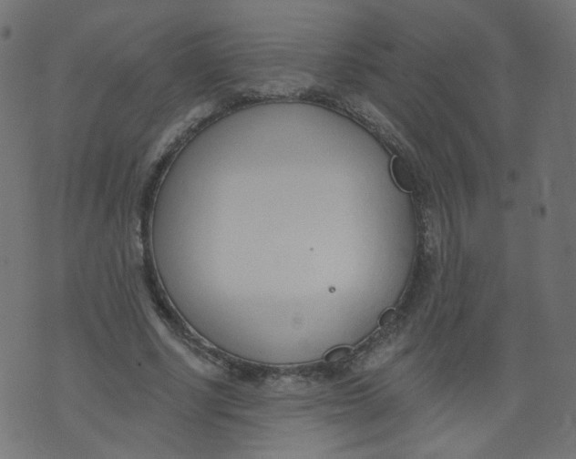 X0000073460634200608251732