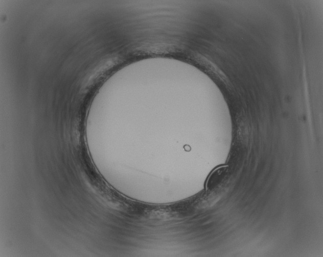 X0000073460635200608251732