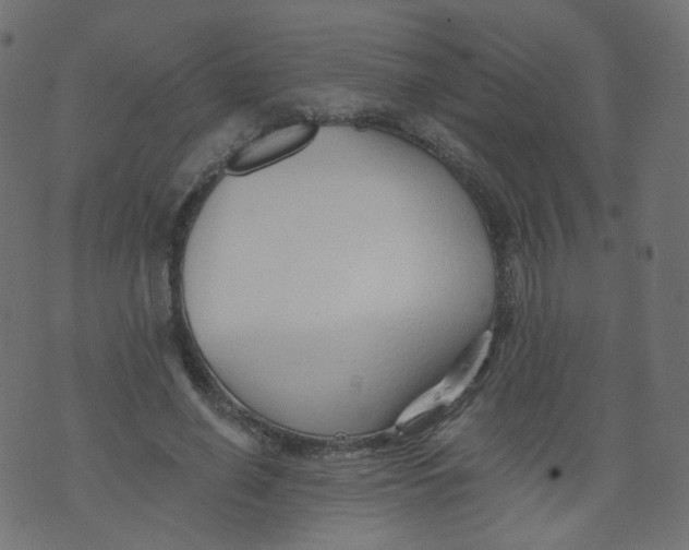 X0000073460638200608251733