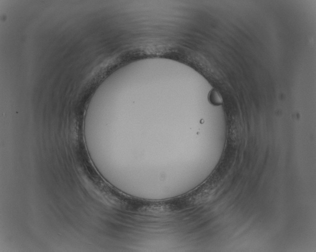 X0000073460639200608251733