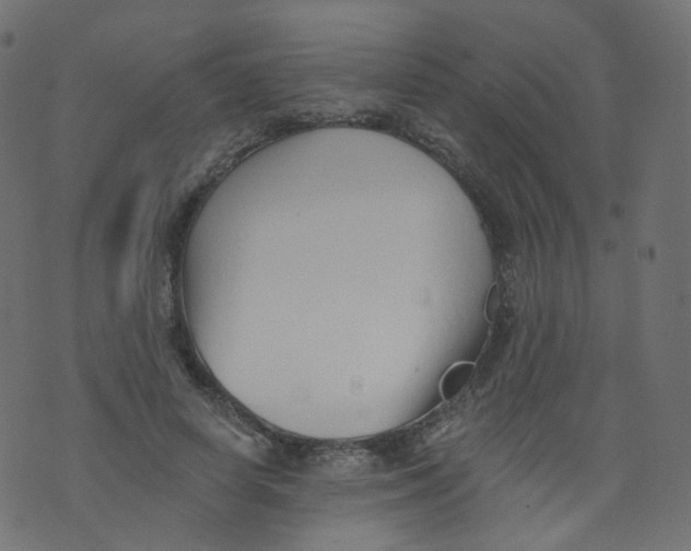 X0000073460642200608251733