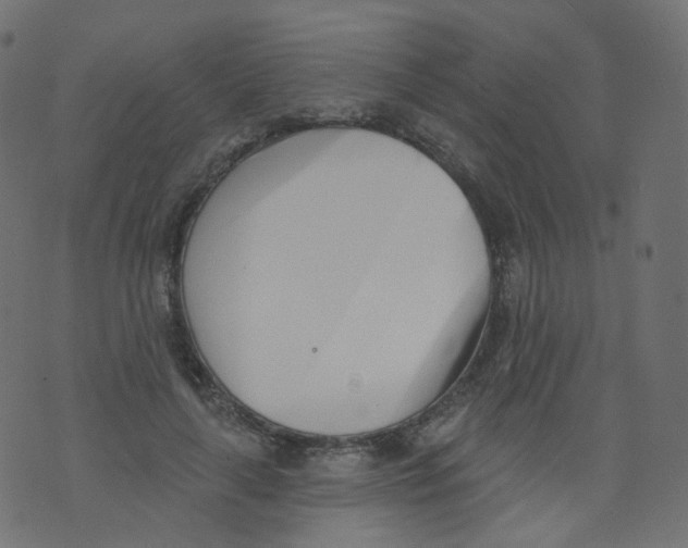 X0000073460643200608251733