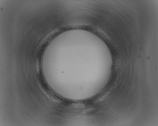 X0000073460644200608251733