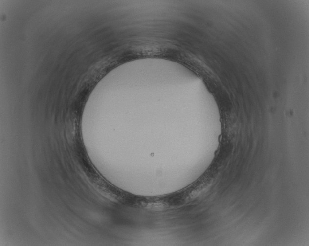 X0000073460645200608251733