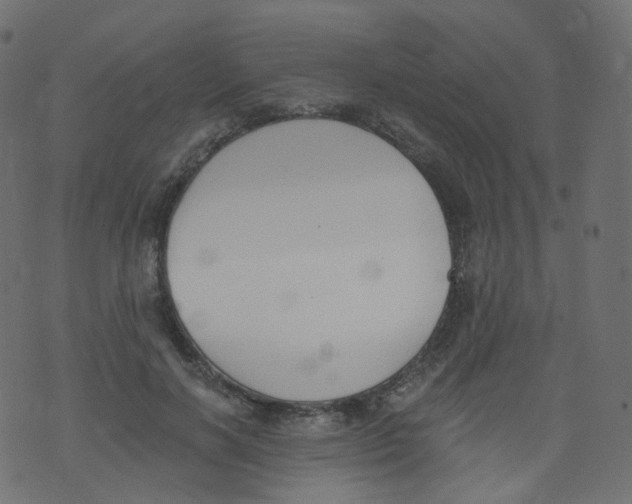 X0000073460646200608251733