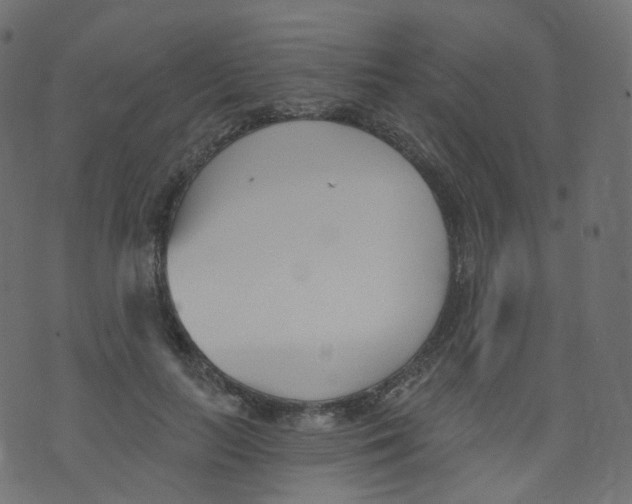 X0000073460647200608251733