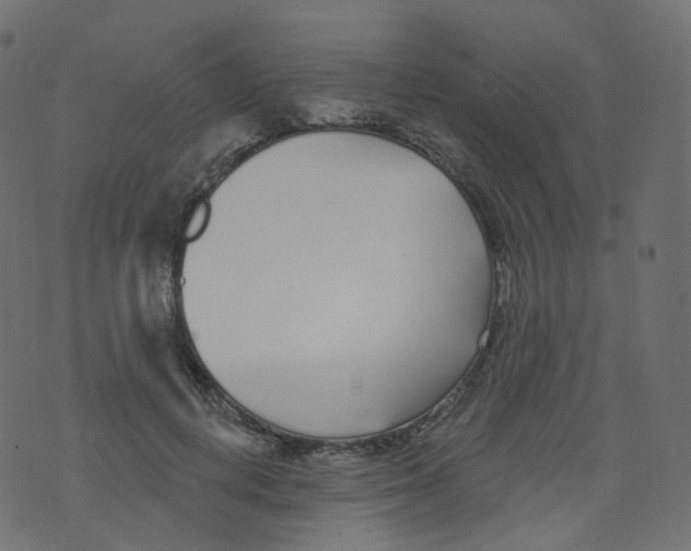 X0000073460648200608251733