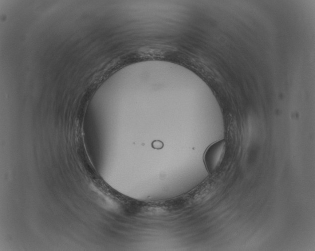 X0000073460649200608251733