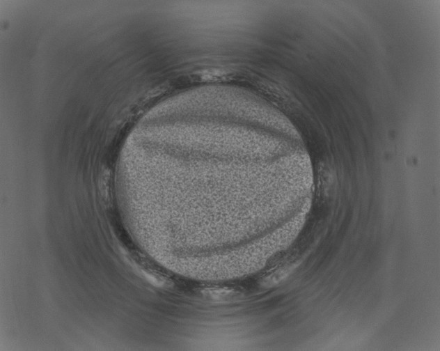 X0000073460650200608251733