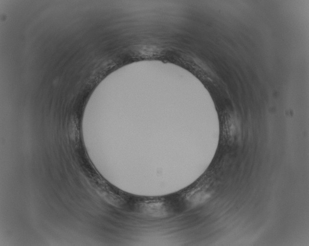 X0000073460651200608251733