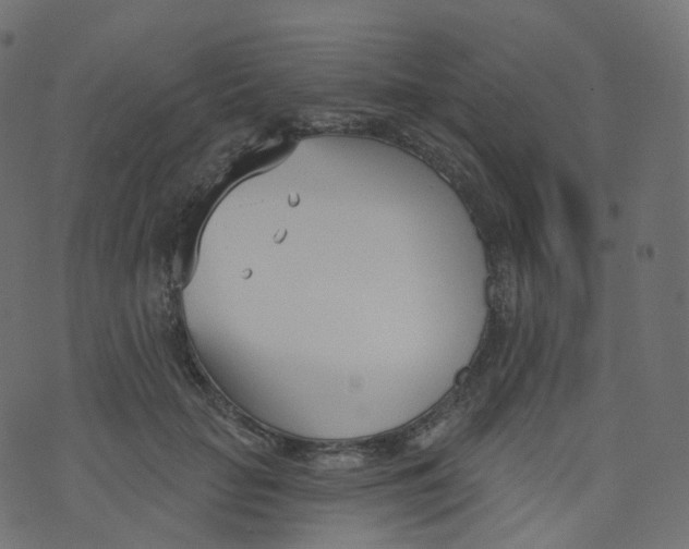 X0000073460653200608251733