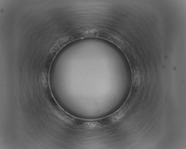 X0000073460654200608251733