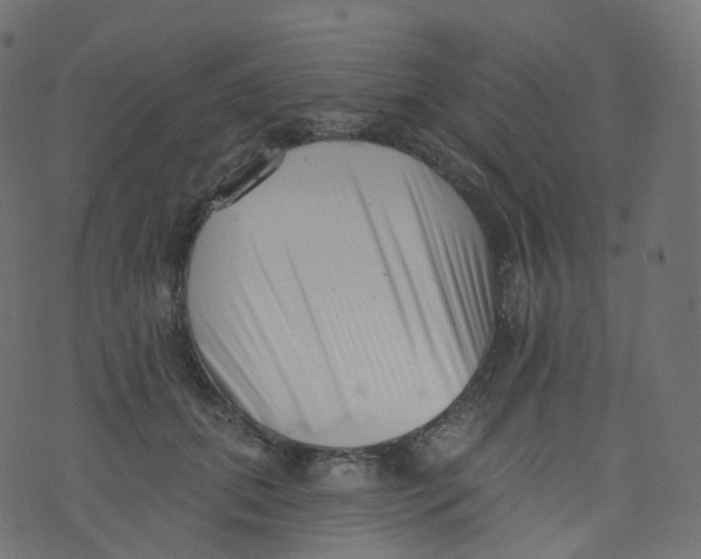 X0000073460655200608251733