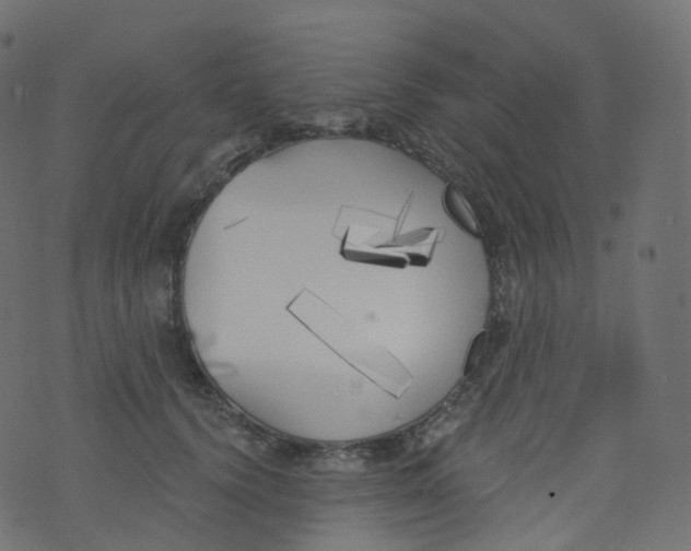 X0000073460656200608251733