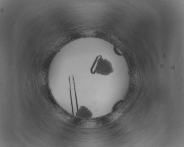 X0000073460658200608251733