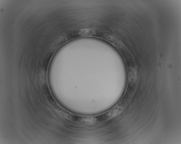 X0000073460659200608251733