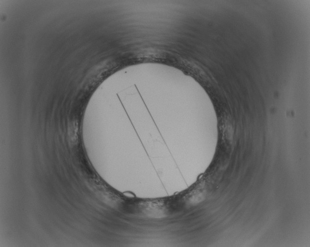 X0000073460660200608251733