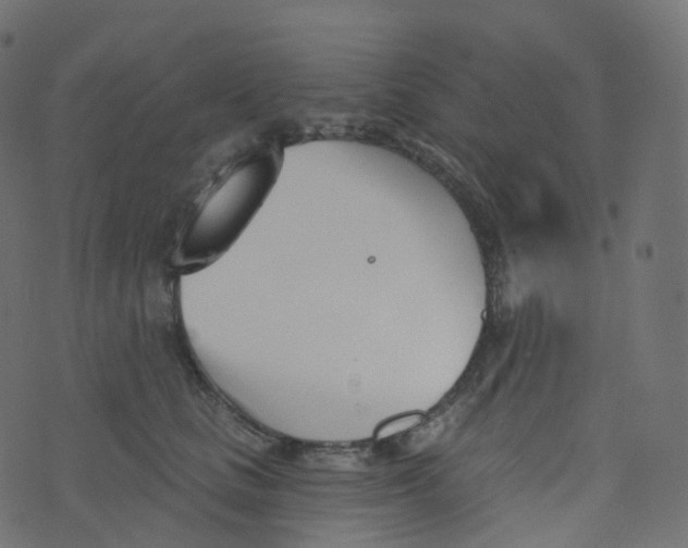 X0000073460661200608251733