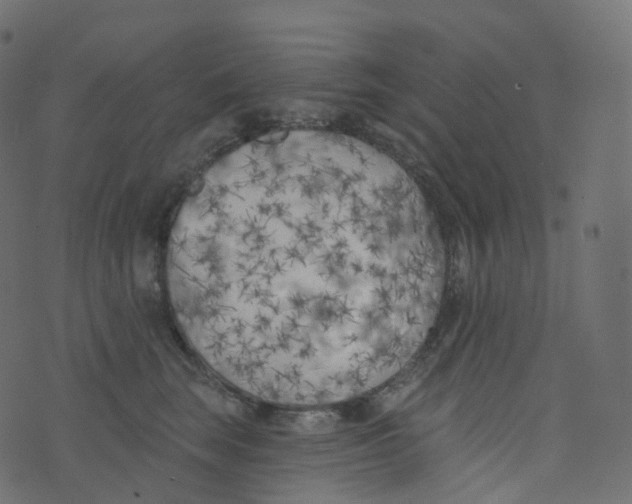 X0000073460663200608251733