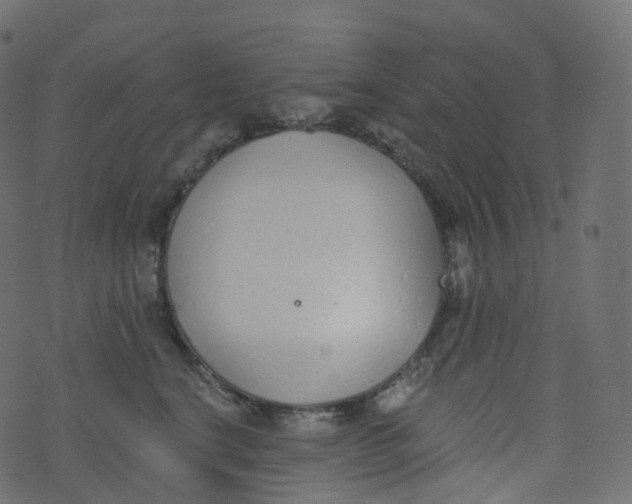 X0000073460664200608251733