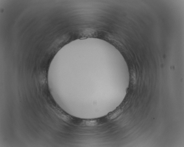 X0000073460665200608251733