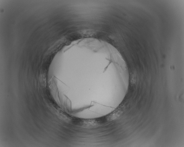 X0000073460666200608251733