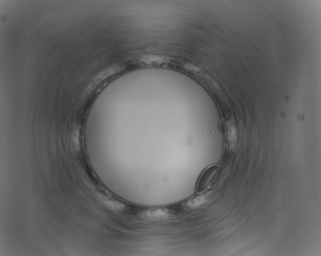 X0000073460668200608251733