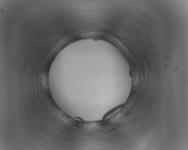 X0000073460669200608251733