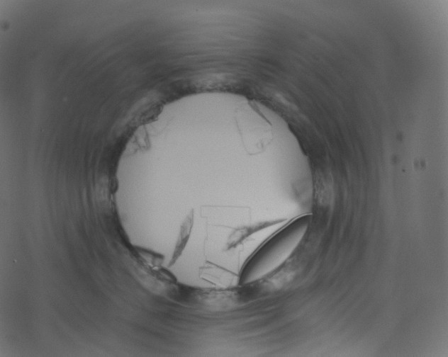 X0000073460670200608251733