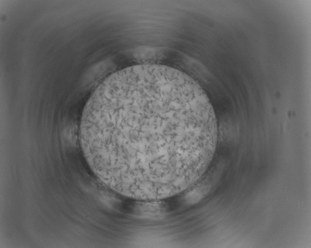 X0000073460671200608251733