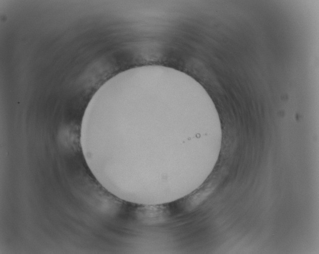 X0000073460672200608251733