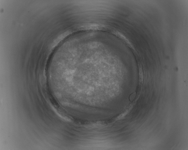 X0000073460674200608251732