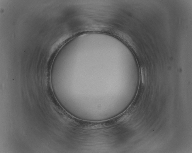 X0000073460675200608251732