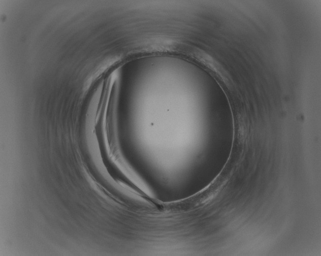 X0000073460677200608251732