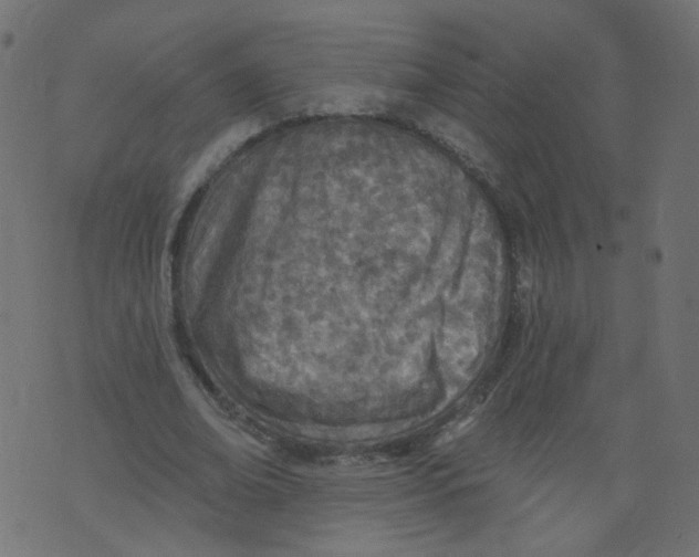 X0000073460678200608251732