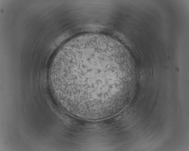 X0000073460679200608251732