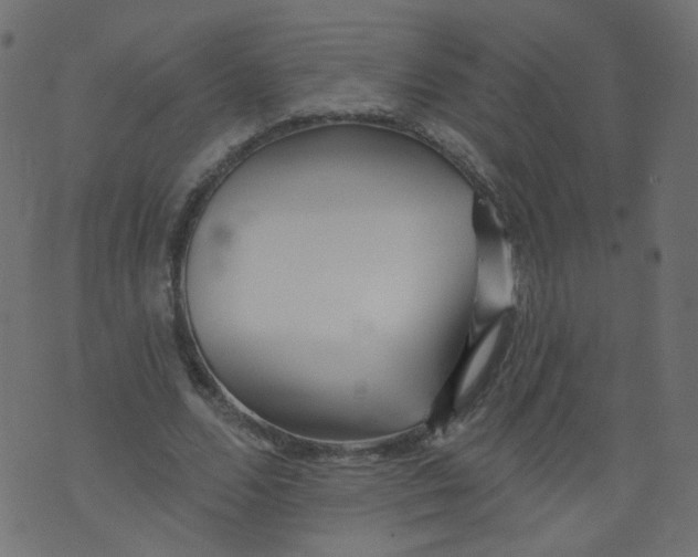 X0000073460680200608251732