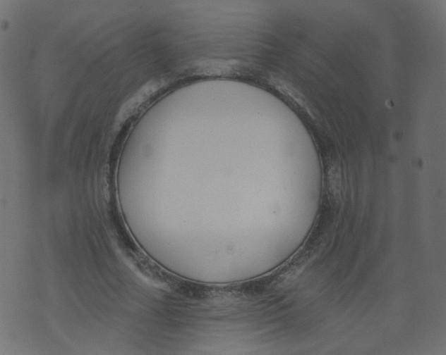 X0000073460682200608251732