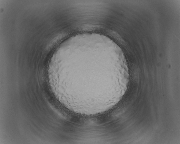 X0000073460683200608251732