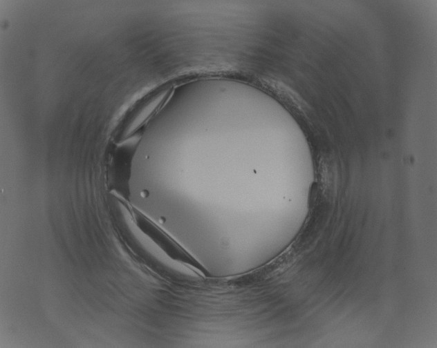 X0000073460684200608251732