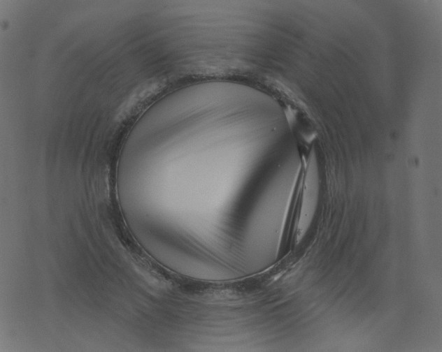 X0000073460685200608251732