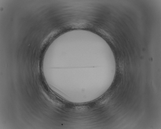 X0000073460686200608251732