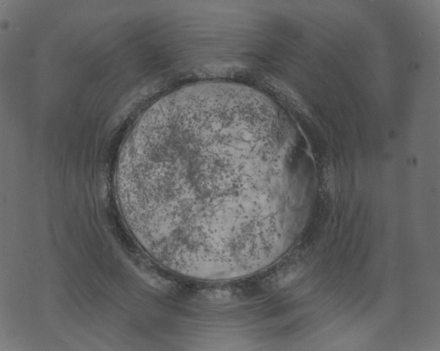 X0000073460687200608251732