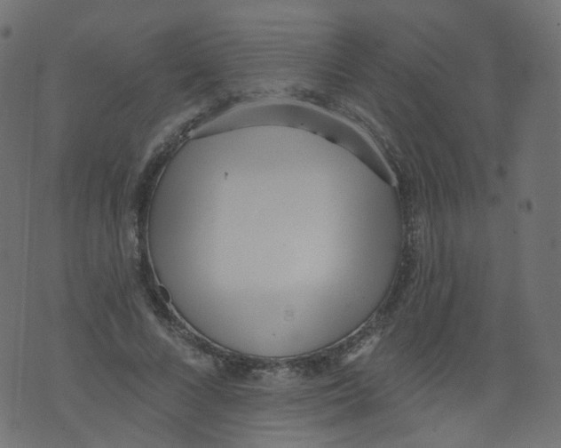 X0000073460688200608251732